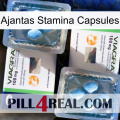 Ajantas Stamina Capsules viagra5